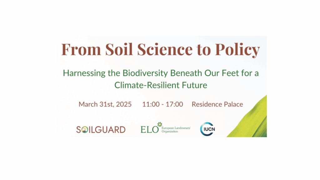 SOILGUARD Network of knowledge: outcomes and impacts of a collaborative journey